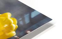 Yellow Tulips HD Metal print