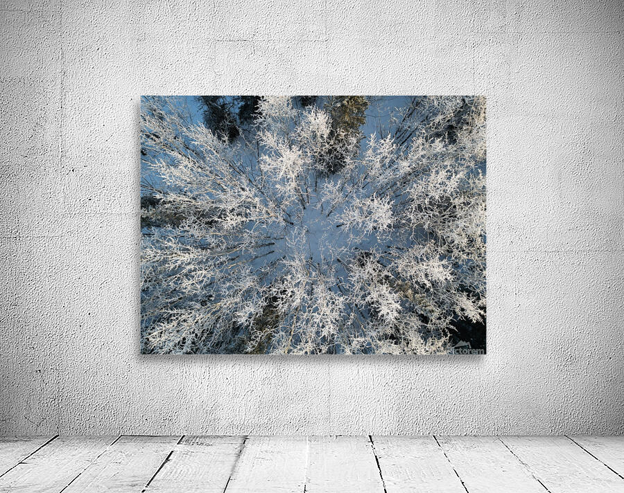 Snowy Trees Wall Preview