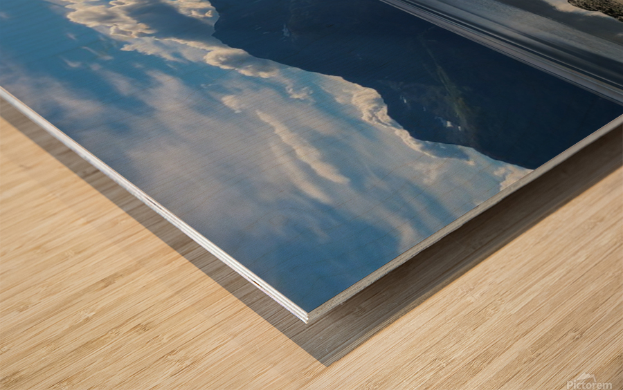 Turnagain Arm Wood print
