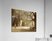 girl on a walk Acrylic Print