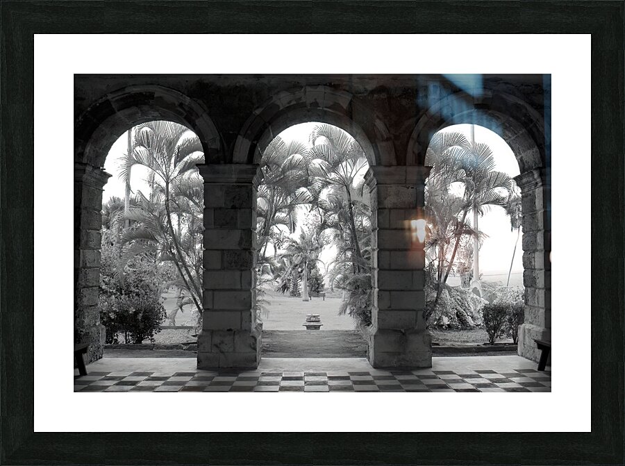 codrington college barbados Picture Frame print