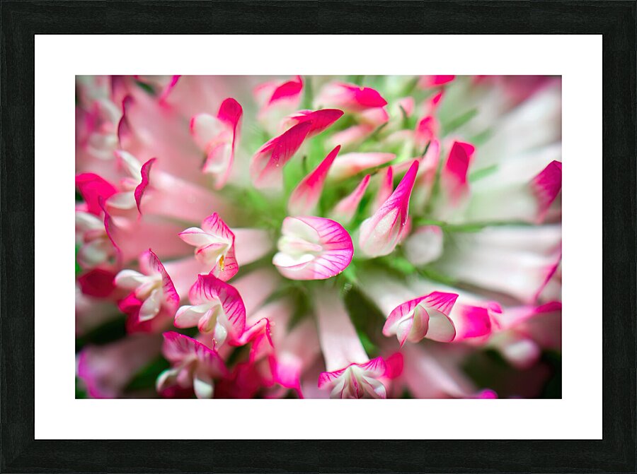 up close Picture Frame print