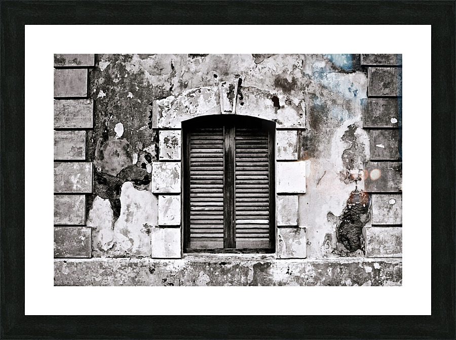 el fuerte Picture Frame print