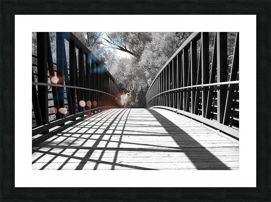 the bridge Picture Frame print