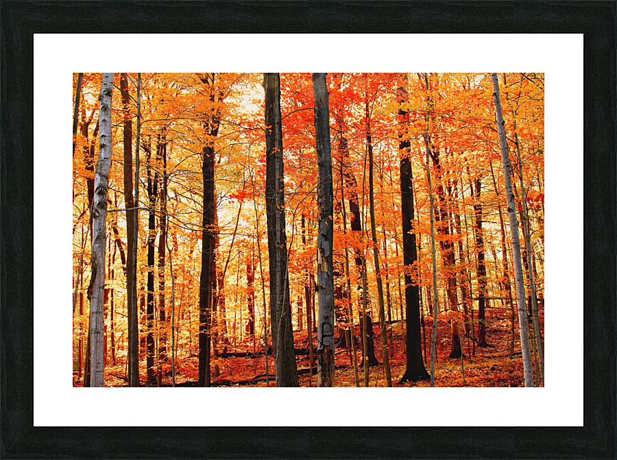 in fall Picture Frame print