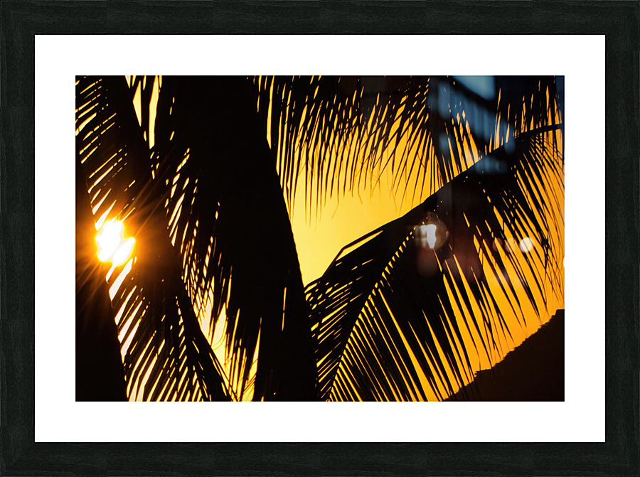 palm leaves Picture Frame print
