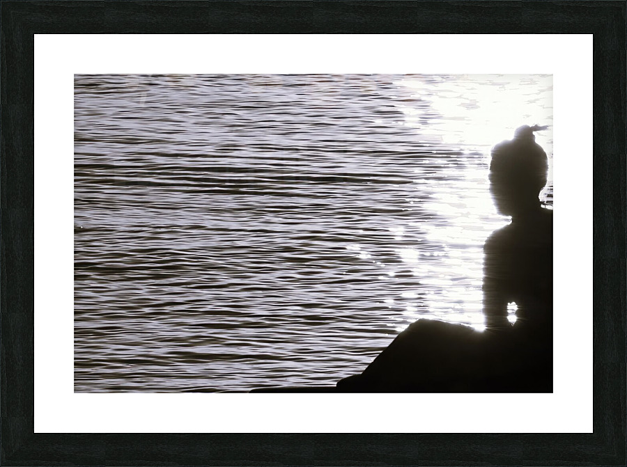 reflection Picture Frame print