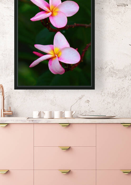 two pink Reproduction