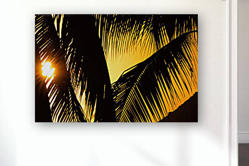 palm leaves by D Aguiton