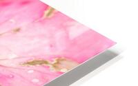 petal blend HD Metal print