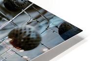 hanging around HD Metal print