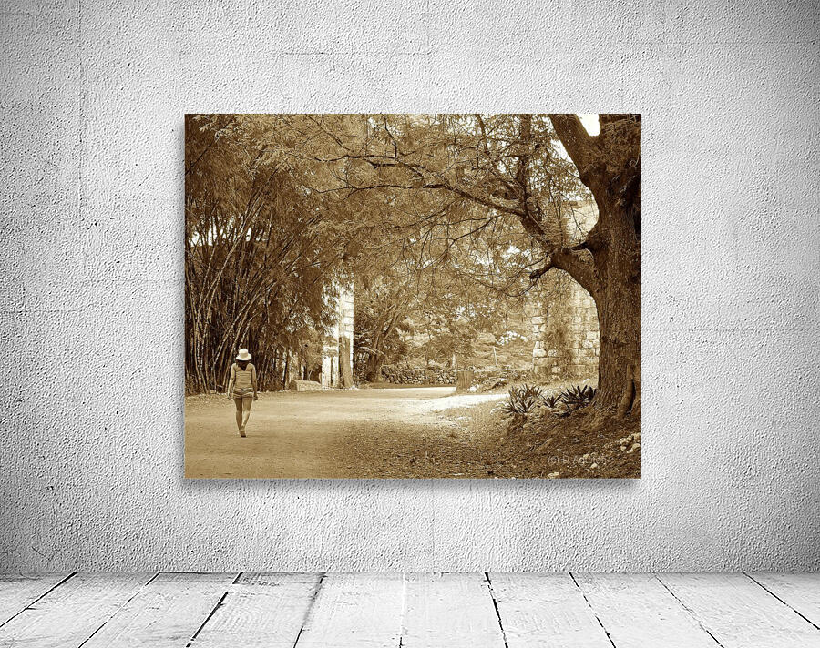 girl on a walk Wall Preview