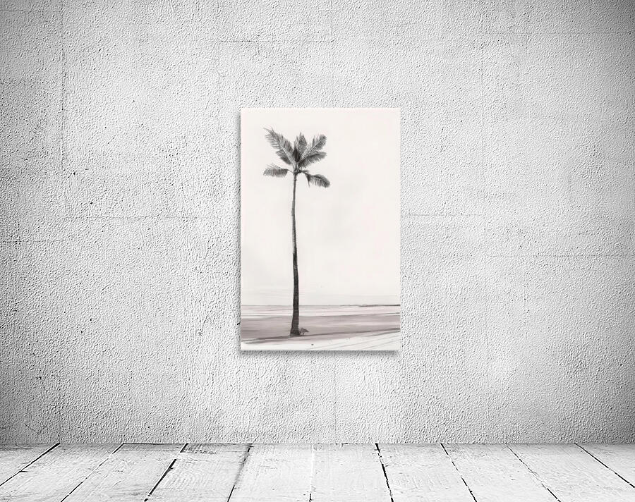 the coconut tree Wall Preview
