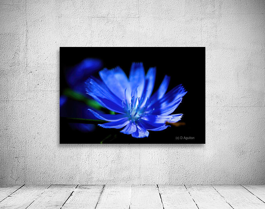 blue Wall Preview