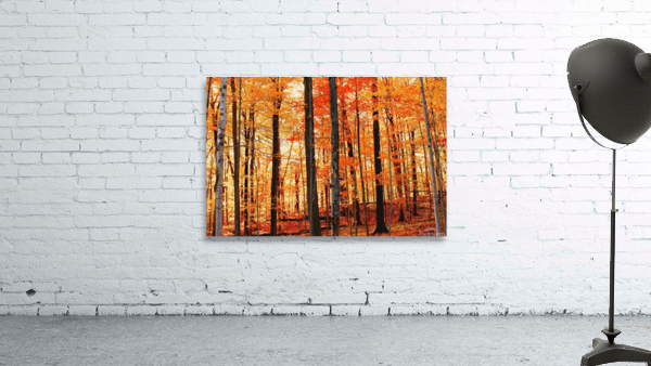in fall Wall Preview