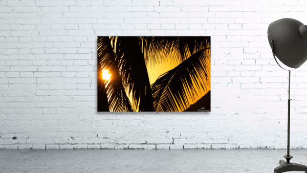 palm leaves Wall Preview