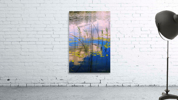 the pond Wall Preview