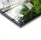 Historic Rocky Mount Acrylic print