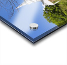 Fall Creek Baptist Church 1 Acrylic print