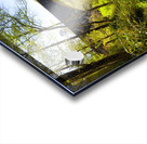 Linville River Bridge NC Acrylic print