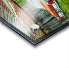 Abandoned in Tennessee Farm Country Acrylic print