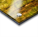 Backroads of Appalachia in Autumn Acrylic print