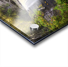 Looking Glass Falls in Autumn Acrylic print