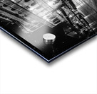 Georgia Queen at Historic Savannah Georgia Acrylic print