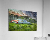 Abandoned in Tennessee Farm Country Acrylic Print