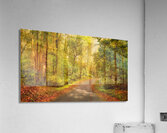 Backroads of Appalachia in Autumn Acrylic Print