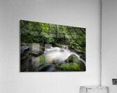 Cascade in the Mountains Acrylic Print