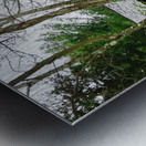 Historic Rocky Mount Metal print