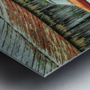 Abandoned in Tennessee Farm Country Metal print