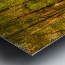 Backroads of Appalachia in Autumn Metal print