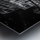 Georgia Queen at Historic Savannah Georgia Metal print