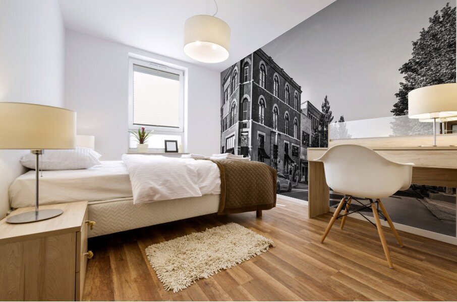 Freibergs Corner Grayscale Mural print