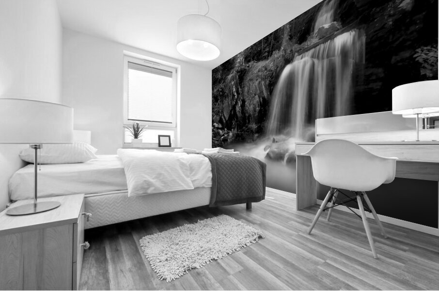 Newland Waterfalls in Grayscale Mural print