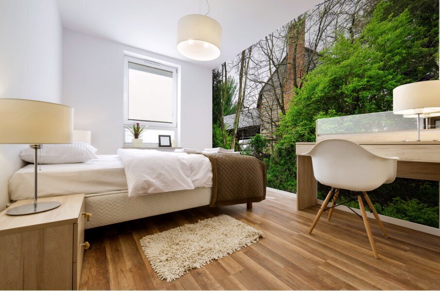 Historic Rocky Mount Mural print