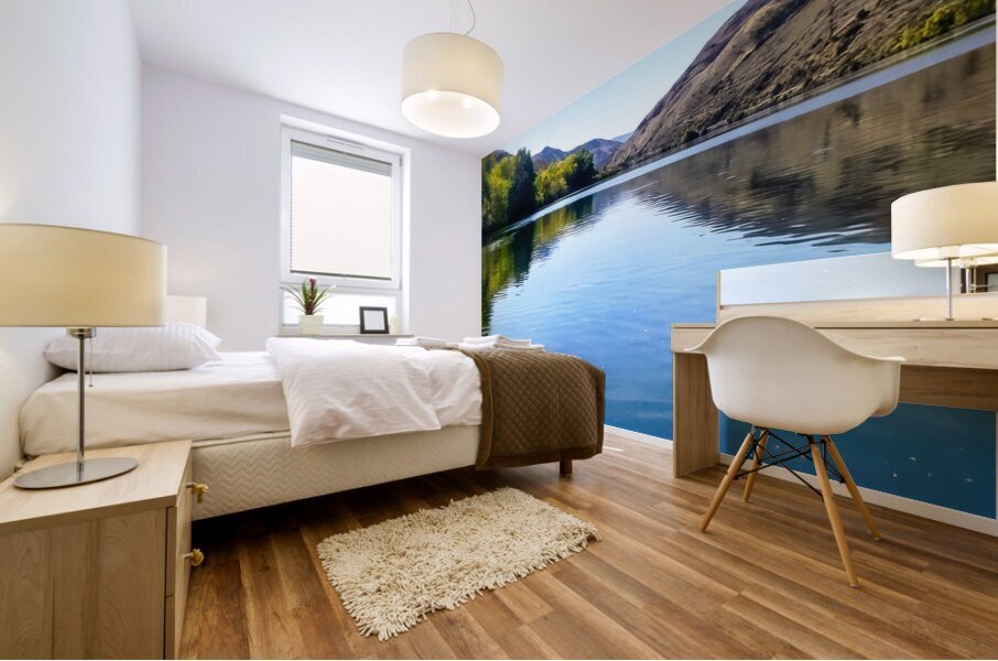 The Snake River in Oregon Mural print