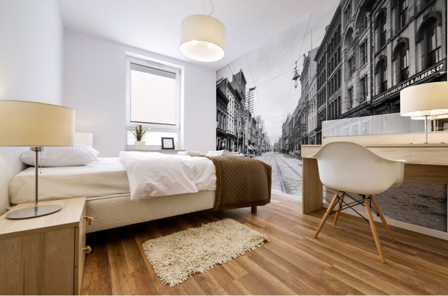 Knoxville TN Early 1900s Mural print