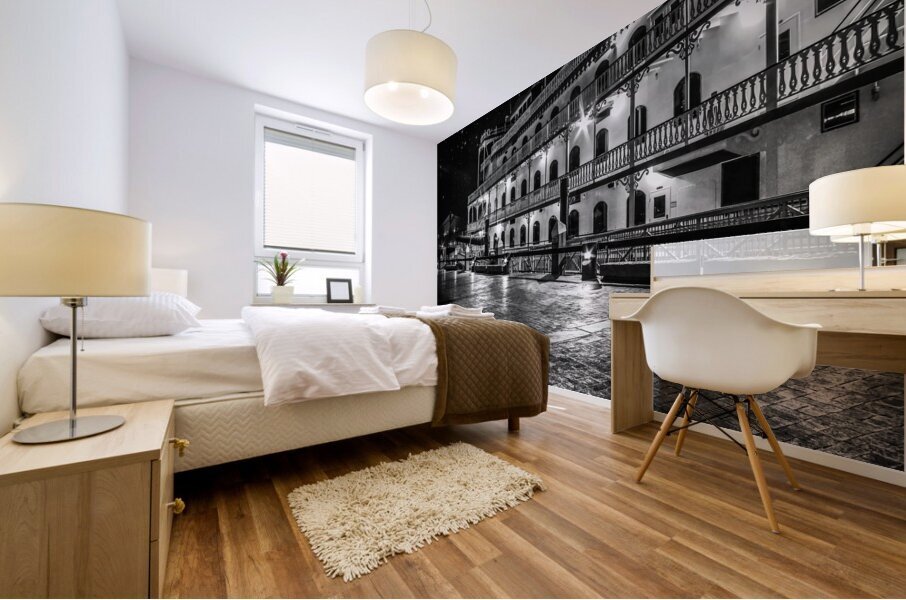 Georgia Queen at Historic Savannah Georgia Mural print