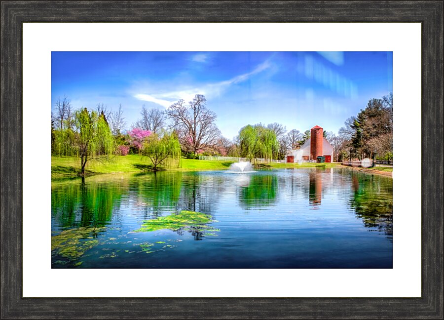 Allandale Lake in Spring Picture Frame print