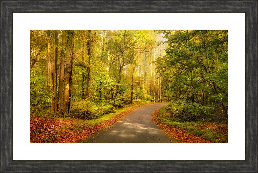 Backroads of Appalachia in Autumn Picture Frame print