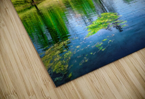 Allandale Lake in Spring Shelia Hunt Photography puzzle