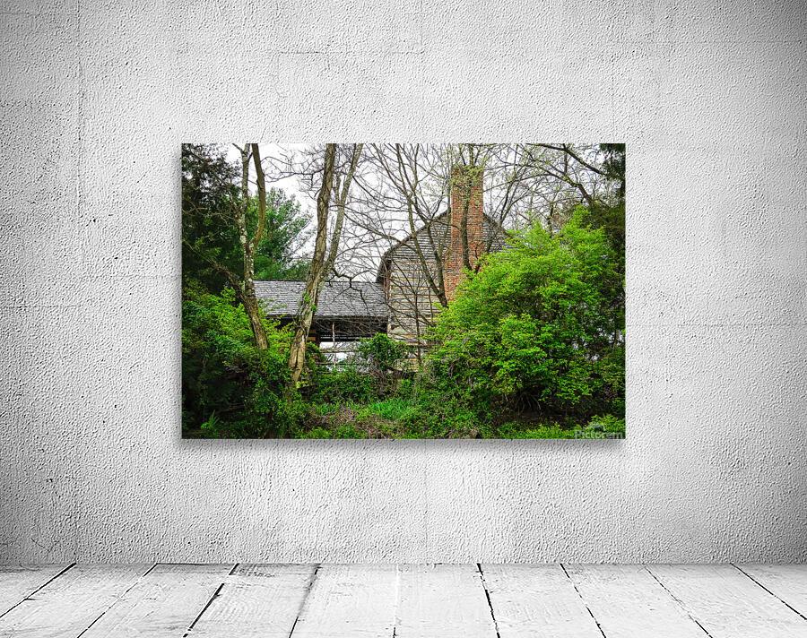 Historic Rocky Mount Wall Preview