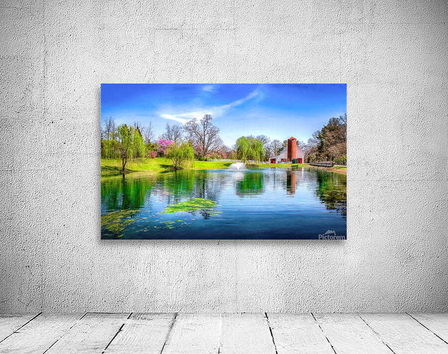 Allandale Lake in Spring Wall Preview