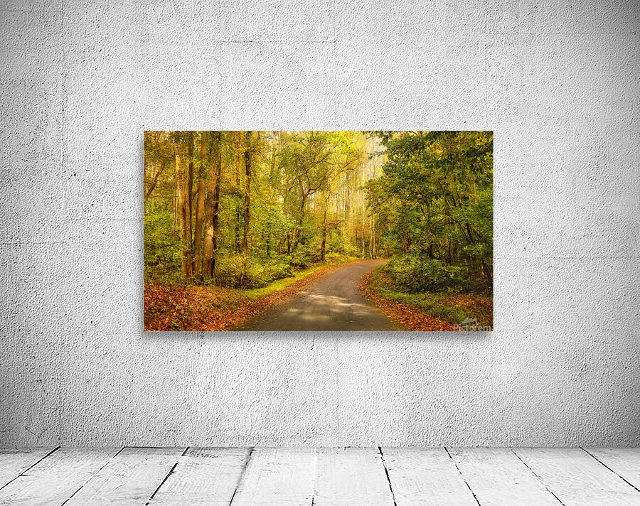 Backroads of Appalachia in Autumn Wall Preview