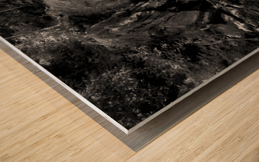 Newland Waterfalls in Grayscale Wood print