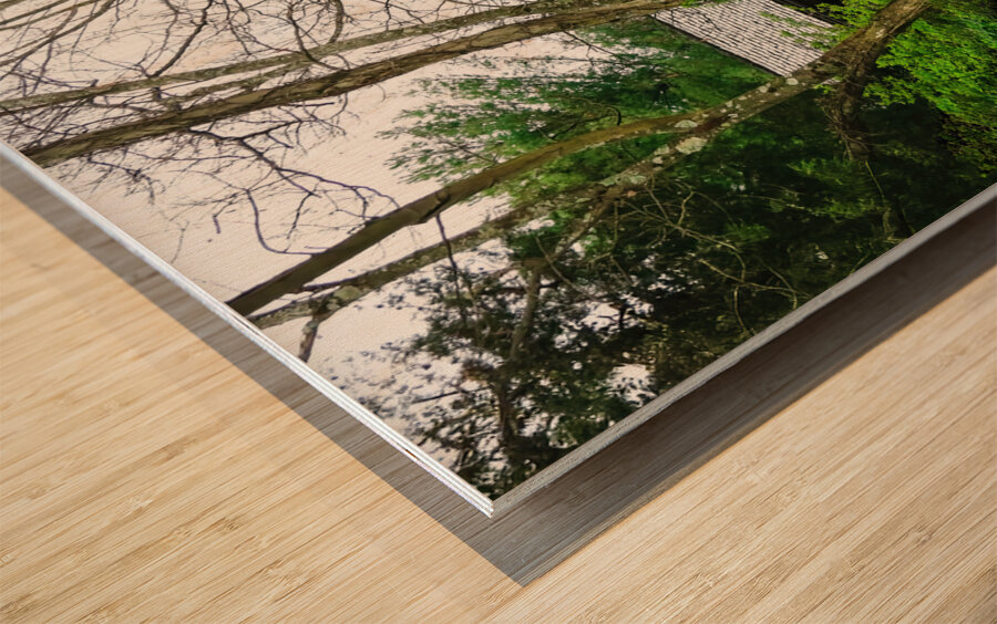 Historic Rocky Mount Wood print