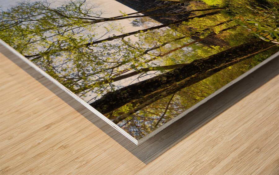 Linville River Bridge NC Wood print